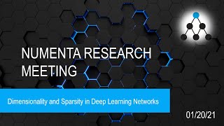 Dimensionality and Sparsity in Deep Learning Networks  January 20 2021 [upl. by Jerz]