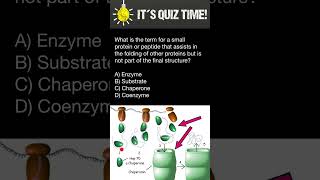 How Proteins are folded [upl. by Bores]