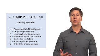 An Approach to Peripheral Edema [upl. by Ciredor]