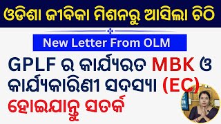 New Letter OLM Statutory Audit Conducting Statutory Audit for Every GPLF ଅଡିଟ ହେବ ସମସ୍ତ GPLF [upl. by Sulohcin]