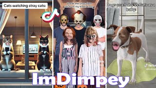 Try Not To Laugh Challenge Newest ImDimpey TikTok Videos of 2024 Funny Dimpey6 TikToks [upl. by Errol]