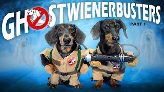 Ep 4 GHOSTWIENERBUSTERS  Funny amp Spooky Dog Video for Halloween [upl. by Elgna531]