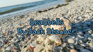 Jack Stauber  Seashells Read Desc [upl. by Lockhart]