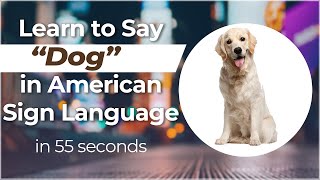 Signing in Seconds Learn how to say DOG in ASL LESS THAN 50 SECONDS [upl. by Otsenre]