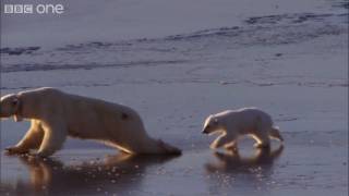 HD Ice Skating Polar Bears  Natures Great Events The Great Melt  BBC One [upl. by Ormand]