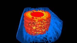 Orthopedic titanium implant in bone osteointegration MicroCT scan SkyScan [upl. by Carole]