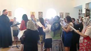 Orthodox Liturgy  Only Begotten Son [upl. by Eneja]