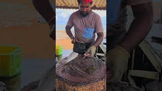 Colourful Spangled Emperor Fish Cutting Skill  Fast Fish Cutting Videos  fishcutting [upl. by Delamare679]