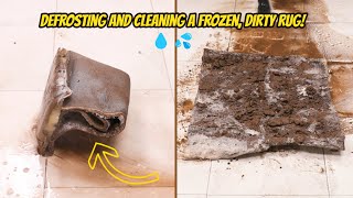 ASMR Cleaning a Frozen Solid Rug from Grandparents Cabin [upl. by Naelopan964]