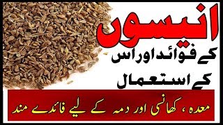 Health Benefits of anise  Anisoon ke fawaid ur us ke istemal By Hakeem Zia Shahid [upl. by Lamson674]