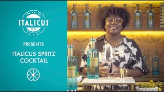 Ep5  ITALICUS SPRITZ COCKTAIL with LP OBrien [upl. by Htiderem]