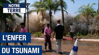 Lhorreur dun Tsunami  Thaïlande sous les eaux  Documentaire Environnement  AMP [upl. by Ahsilad]