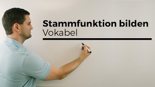 Stammfunktion bilden Vokabeln Aufleiten Integralrechnung  Mathe by Daniel Jung [upl. by Malynda]