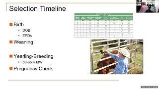 Heifer Selection amp Management Webinar [upl. by Heinrik]