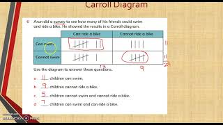 Statistics Tally Chart and Carroll Diagrams [upl. by Lind]