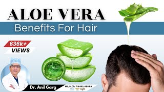 Aloe Vera Benefits For Hair Growth  एलोवेरा  बालों के स्वास्थ्य के लिए प्राकृतिक चमत्कार [upl. by Ainesy]