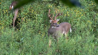 Deer Hunting In Kentucky [upl. by Glennie]