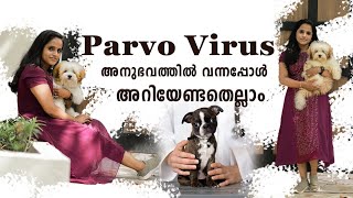 പടരുന്ന പാർവോ വൈറസ് parvo virus infection symptoms and precautions malayalam parvo care at home [upl. by Ajnot]