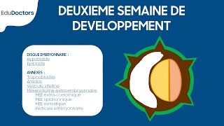 Deuxième semaine de développement embryonnaire  Embryologie générale [upl. by Adnohral]