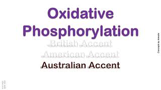 Oxidative Phosphorylation How to Pronounce Oxidative Phosphorylation in American Accent [upl. by Nylloc]