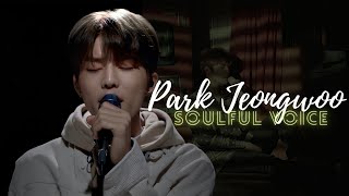 PARK JEONGWOOs Soulful voice  raw vocals [upl. by Rehportsirhc]