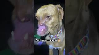 Food name commentscomment food name dog views song love [upl. by Eeldivad732]