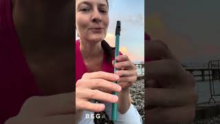 Jethro Tull  Aqualung short theme  tin whistle tutorial tin whistle daily challenge day 4 [upl. by Aleydis]