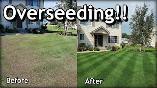 How To OVERSEED Your Lawn in SPRING  Complete Step by Step Guide [upl. by Naesad]