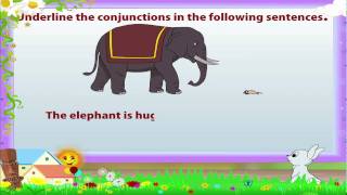 Learn Grade 3  English Grammar  Conjunctions [upl. by Edualc154]