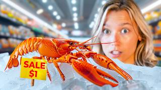 Raising a Grocery Store Lobster as a Pet [upl. by Karia]