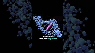 What are Bio polymers 🧬 made of upsc currentaffairs science [upl. by Cirde]