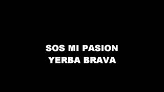 sos mi pasion yerba brava [upl. by Balcke]