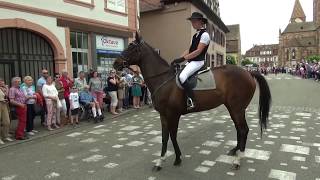 Pfingstfest mit traditionellem Trachtenumzug Weissenburg Elsass Frankreich 2019 T7 [upl. by Winfield]