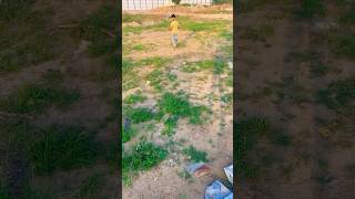 comedyvideos funny  bakre shorts comedy bakr funnyshorts love bakri funnyvideos [upl. by Ghassan]