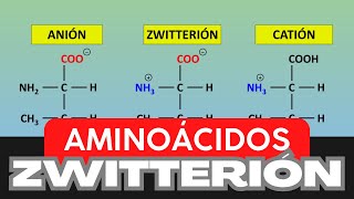 ZWITTERIÓN  AMINOÁCIDOS  PROTEÍNAS  Ejemplos  Ejercicios para practicar al final del vídeo [upl. by Anatlus155]