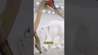 The DEADLIEST Flying Reptile in History Quetzalcoatlus [upl. by Moonier266]