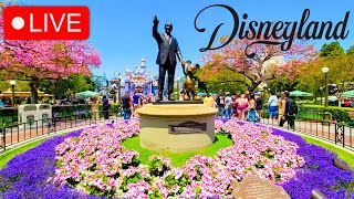 🔴 LIVE Tuesday Afternoon at Disneyland [upl. by Friedrick168]