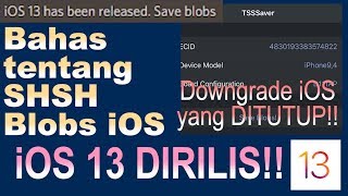 Bahas iOS 13 DIRILIS Jailbreak Downgrade iOS Unsigned Cara Menyimpan SHSH2 Blobs iOS Kalian [upl. by Esilrahc]