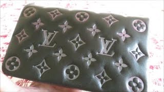 Louis Vuitton Coussin Pochette Iridescent  Overview  What fits [upl. by Chally548]