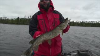 Leuenberger’s FlyIn Lodge and Wilderness Outposts  Fly Fishing on Kagianagami Lake Pt 2 [upl. by Sanderson]