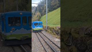 RigiBahnen BDeh 24 11 ArthRigiBahn rigibahnen migros train alpen trainspotting schweiz [upl. by Ma15]