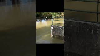 Inondations en Essonne  Lorge en crue  Octobre 2024 [upl. by Acinomahs]