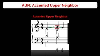 Chapter 143 Accented vs Unaccented Nonharmonic Tones [upl. by Aneerehs]