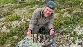 Fjellørret fiske på Hardangervidda 2022  Neste eventyret [upl. by Arahsak335]