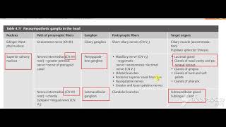Parasympathetic Head amp Neck 4 [upl. by Yves]