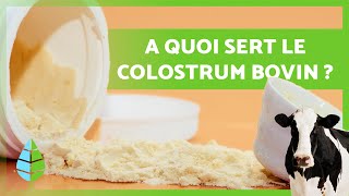 12 BIENFAITS du COLOSTRUM BOVIN 🥛🐮 A quoi sertil et comment en consommer [upl. by Oruntha814]