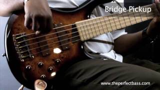 MTD Kingston Z5 Bass w Maple Fingerboard Demo  The Perfect Bass [upl. by Derek]