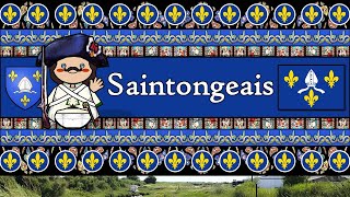 SAINTONGEAIS The Historical Langue doïl of Xaintonge  A Journey Through the Language of Saintonge [upl. by Ayouqat881]