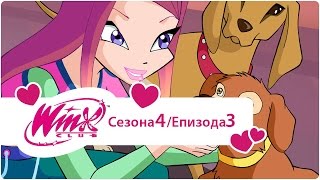 Winx Club na Srpskom  Sezona 4 Epizoda 3 Poslednja Zemaljska Vila [upl. by Kain906]