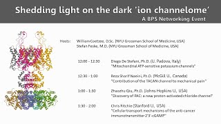 2020 Biophysical Society Networking Event Shedding light on the dark ion channelome [upl. by Armelda]